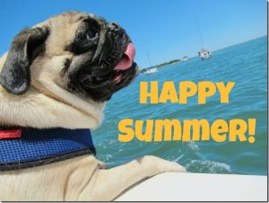 happy-summer-pug_thumb