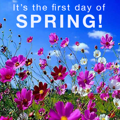 What Day Does Spring Officially Start 2024